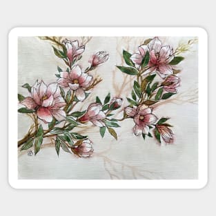 Magnolia Blooms Sticker